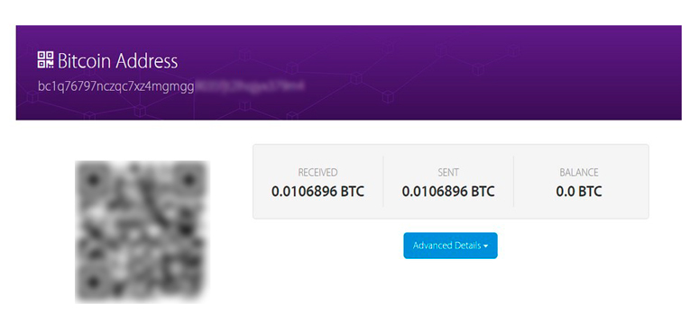 Bitcoin wallet address (BTC)