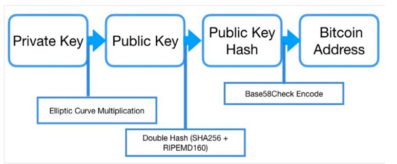 Bitcoin wallet address (BTC)