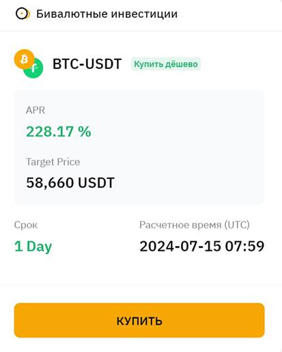 Bicurrency investments in Bybit