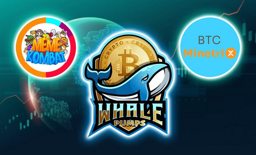 Well-known investor channel Crypto Whale Pumps has listed the best cryptocurrencies to buy now