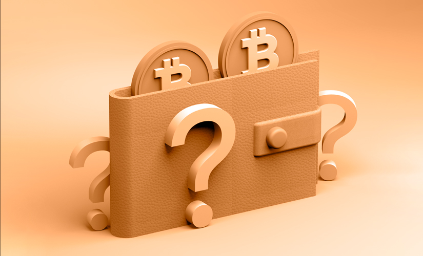 How to find out the owner of a bitcoin wallet by number