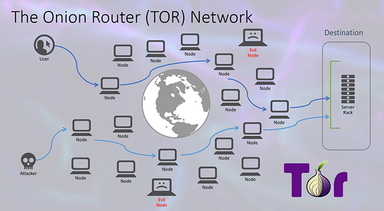 How Tor helps ensure anonymity