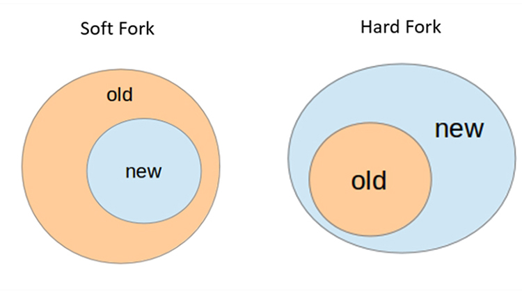 What are the different types of Bitcoin