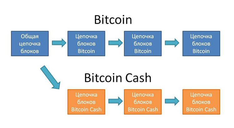 What are the different types of Bitcoin