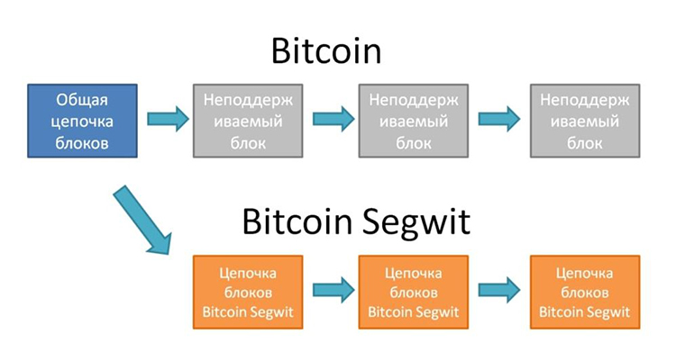 What are the different types of Bitcoin