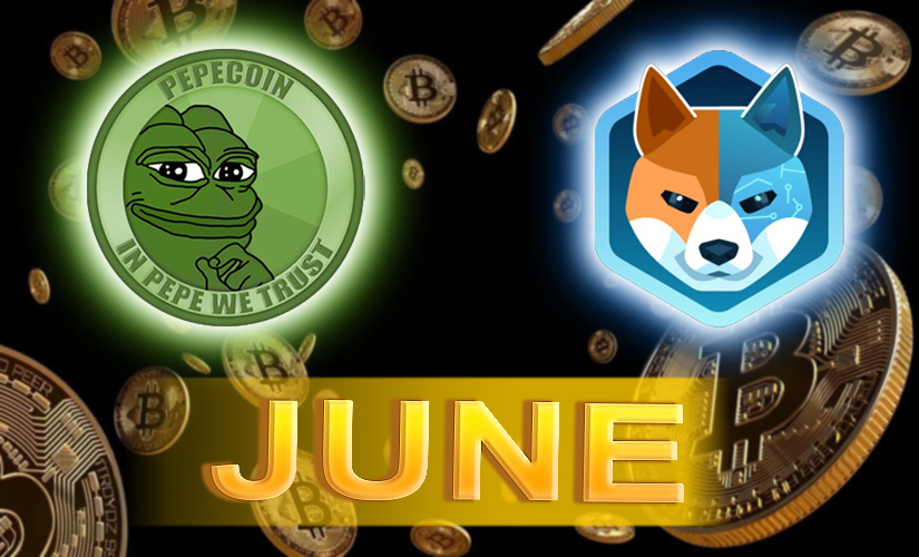 What cryptocurrency to buy in June: bitcoin and Pepe in favorites, AiDoge raises over $12 million