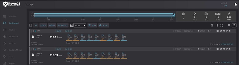 Mining on RaveOS