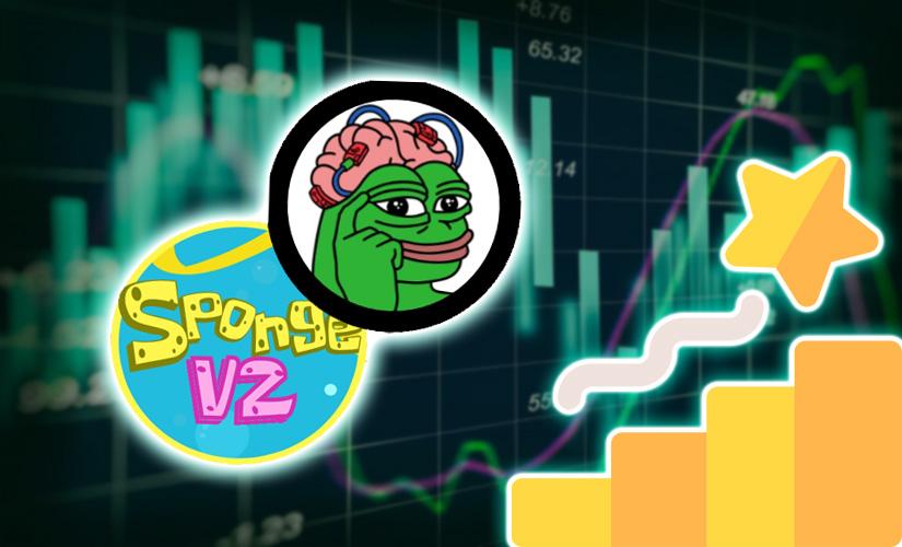 Meme tokens: secrets of meme coin popularity in 2024