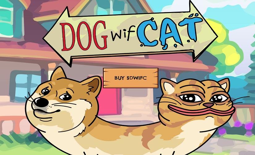 New meme coin on Solana DogWifCat is up 2367% in 24 hours, the next BOME?