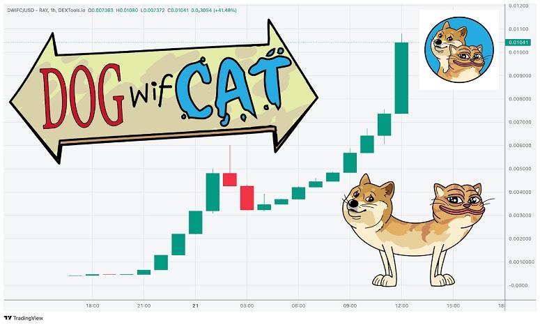 New meme coin on Solana DogWifCat is up 2367% in 24 hours, the next BOME?