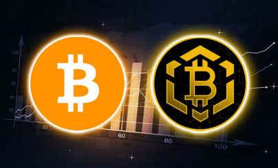 Bitcoin BSC