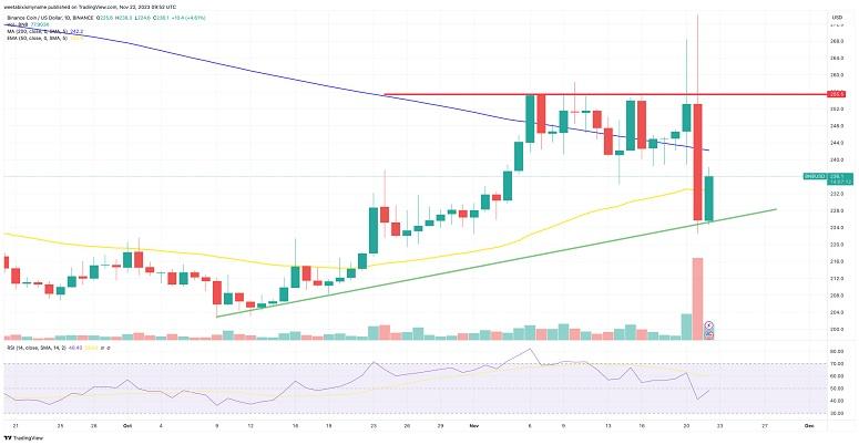 Cryptocurrency forecast: what will happen to BNB after Changpeng Zhao's resignation and what the new Bitcoin ETF project has to offer