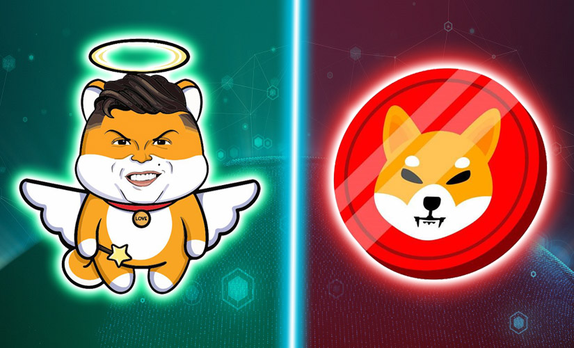 Shiba Inu price forecast: investors buy up another similar token