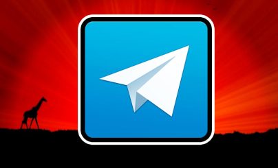 The number of African crypto communities on Telegram grew by 183%