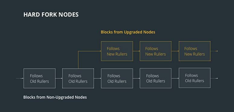 What are nodes in cryptocurrency