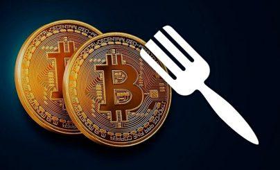 Cryptocurrency Fork