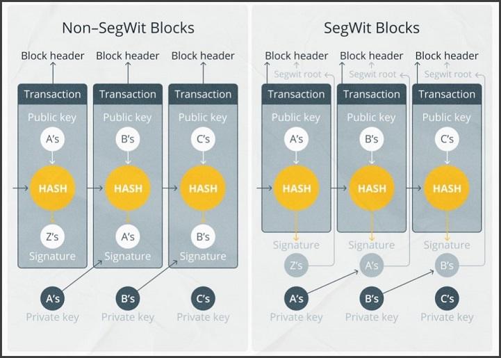 What is a cryptocurrency and Bitcoin fork