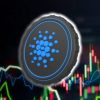 The amount of transactions on the Cardano network surpassed the $52 billion mark in one week