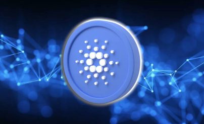 Analysts have studied the causes and consequences of the growth of Cardano quotations