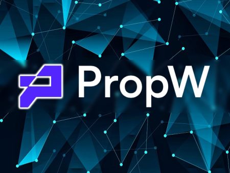 PropW: how to make money on the prop trading platform