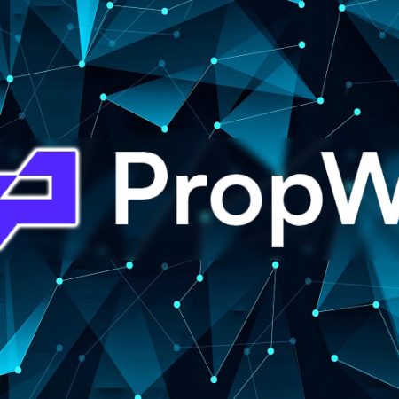 PropW: how to make money on the prop trading platform